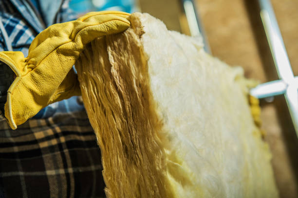 Best Insulation Maintenance and Repair in Jefferson, WI